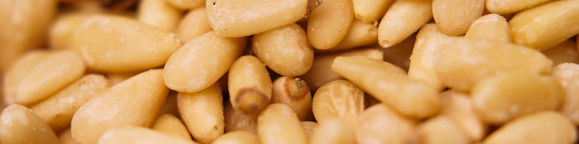 Exporting pine nuts to Europe CBI